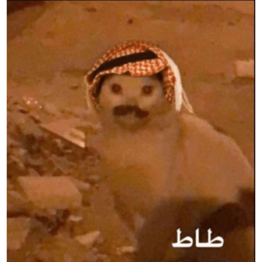 ااا 25
