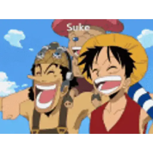 One Piece 29