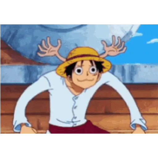 One Piece 17