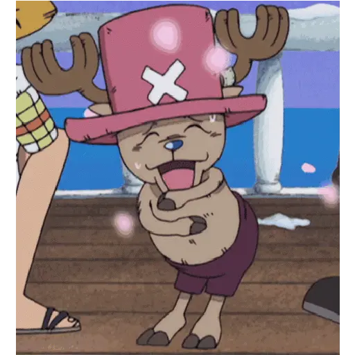 One Piece 19