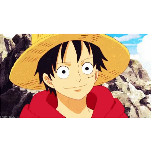 One Piece 24