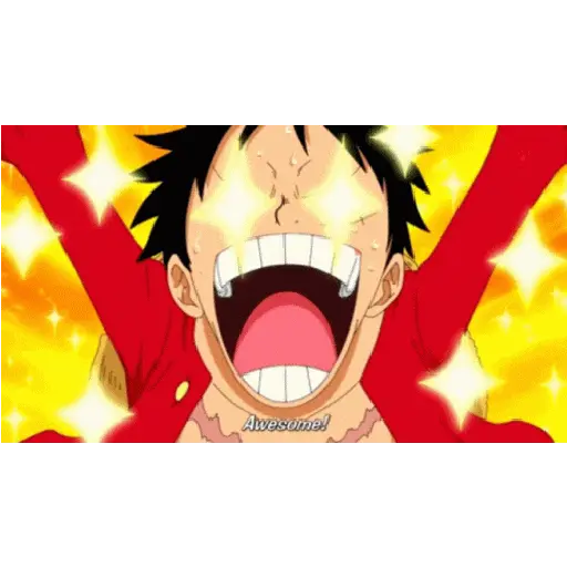 One Piece 13
