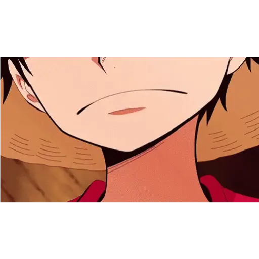 One Piece 8