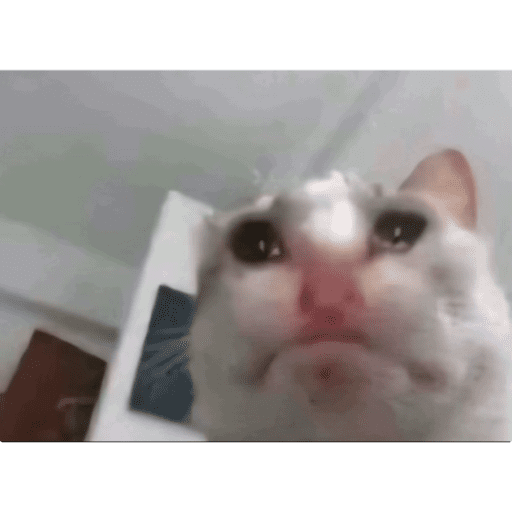 Jejejje 3