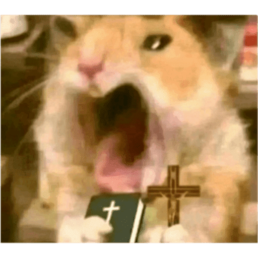 Jejejje 9
