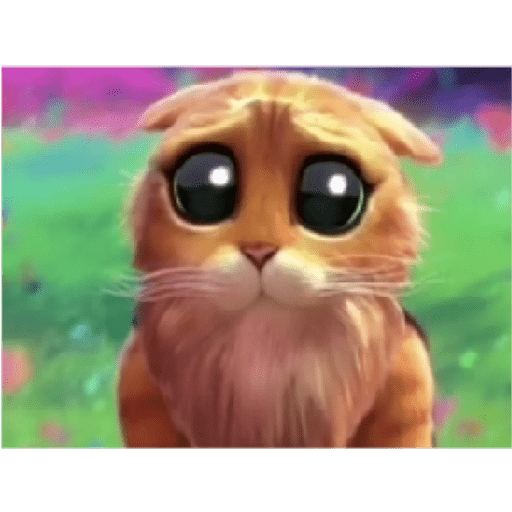 Gato con botas  2