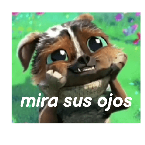 Gato con botas  24