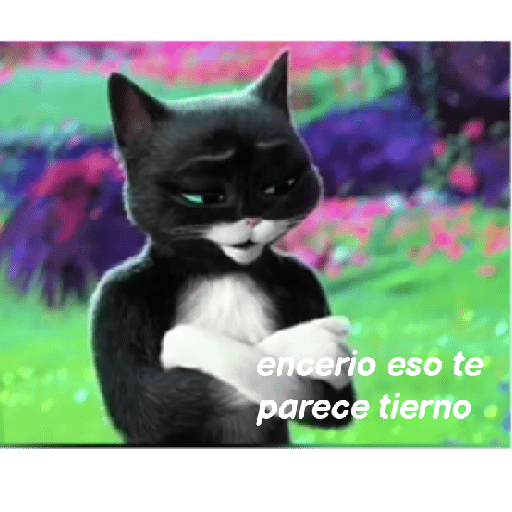Gato con botas  25
