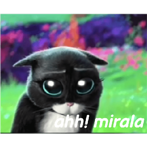 Gato con botas  26