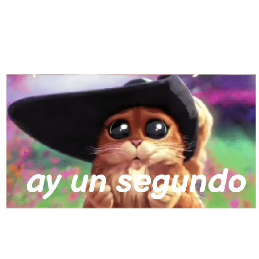 Gato con botas  29