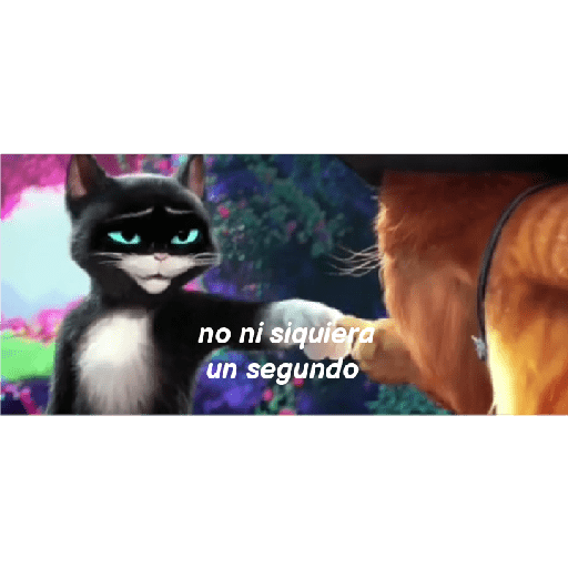 Gato con botas  15