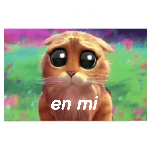 Gato con botas  18