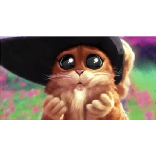 Gato con botas  5