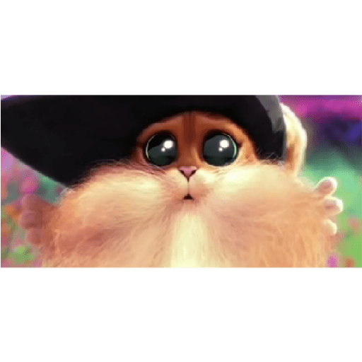 Gato con botas  6