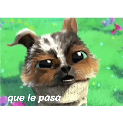 Gato con botas  20