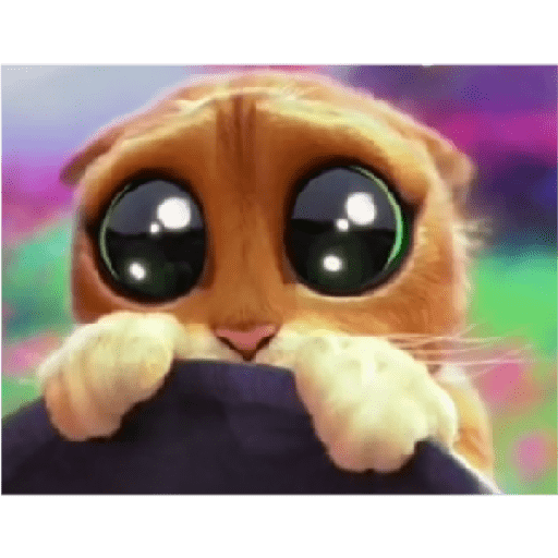 Gato con botas  8