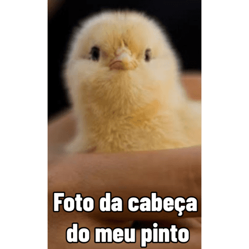 Minhas figurinhas 28