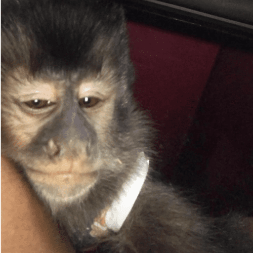 Sim fio 💁🏽‍♀️💋 / eloraiine 16