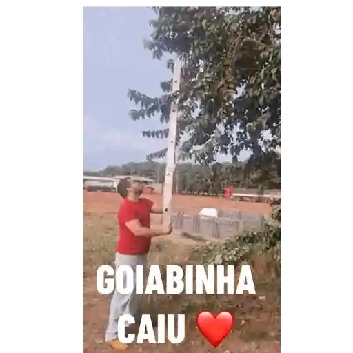 LEK 19
