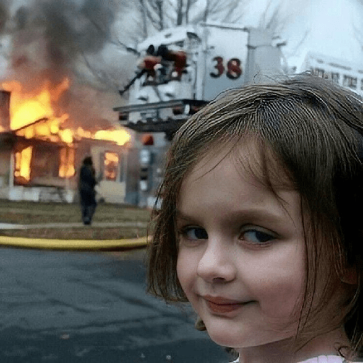 Meme 12