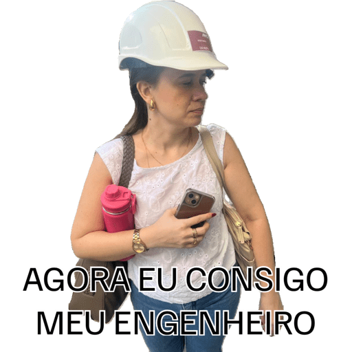 Minhas figurinhas 29