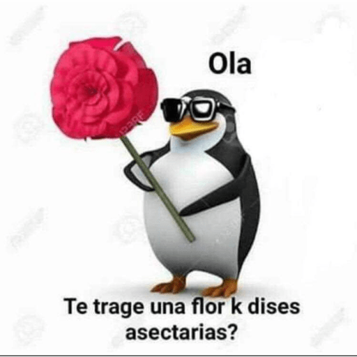 Gay si robas UWU 2