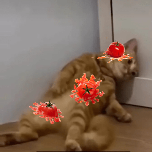Gatinhos  2
