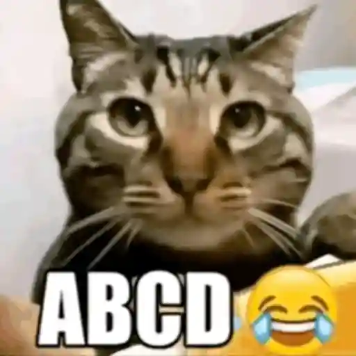 Kucing gerak 8