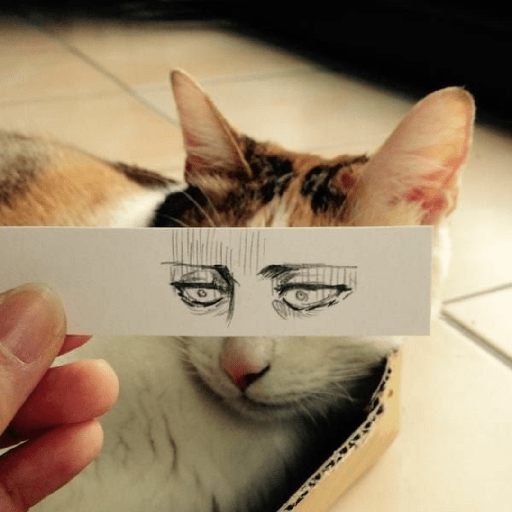 Hmmm 6
