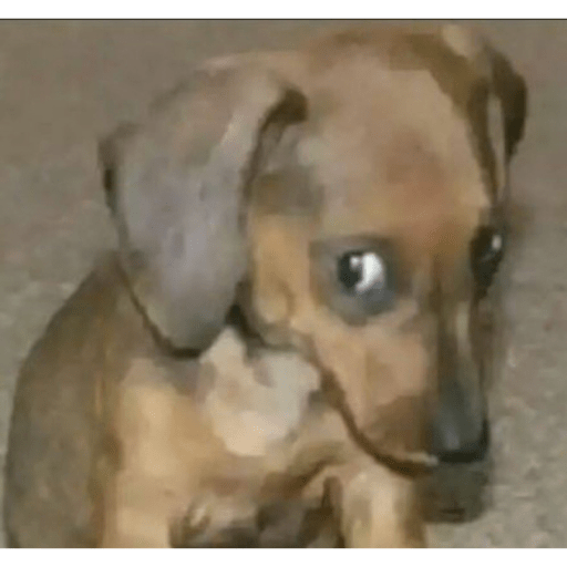 Doggo 4
