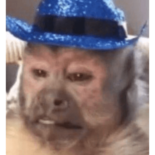Doggo 6