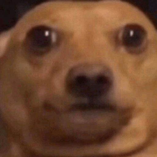 Doggo 1