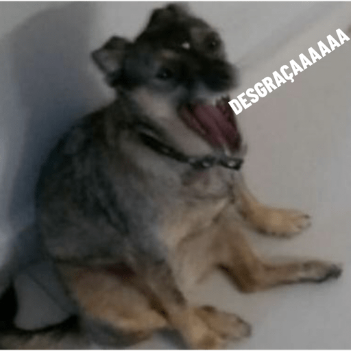 Doggo 11