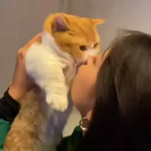 استیکر