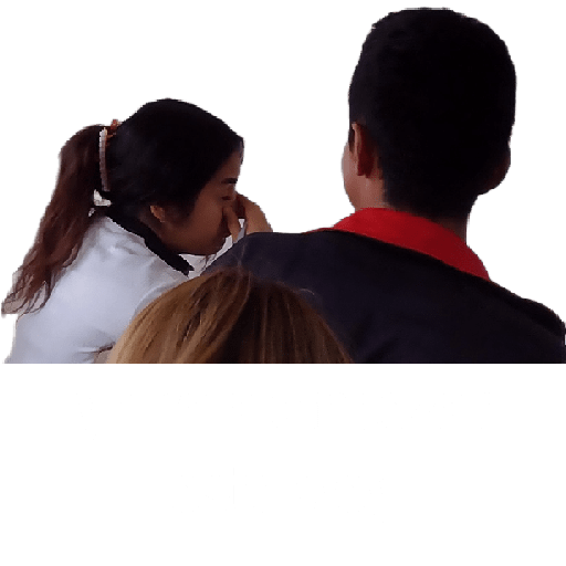 Maestros 2