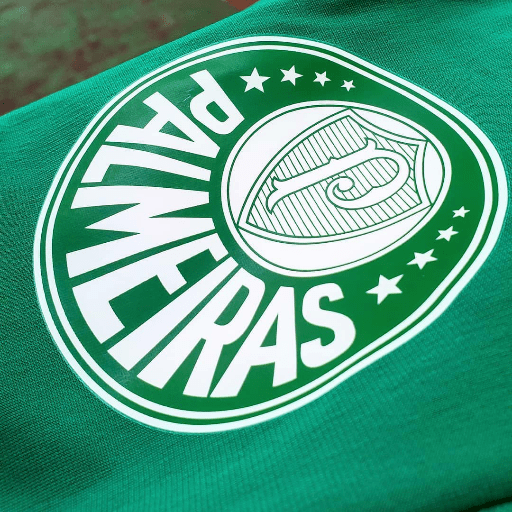 Figurinhas do Palmeiras 6