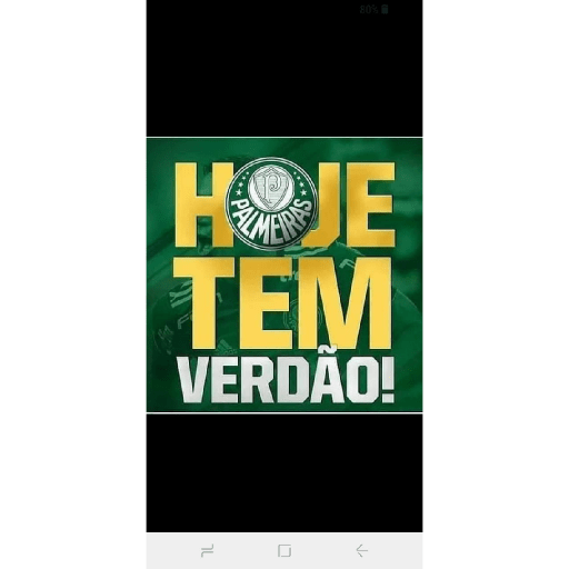 Figurinhas do Palmeiras 13