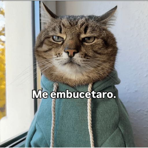 Biruleibe  13