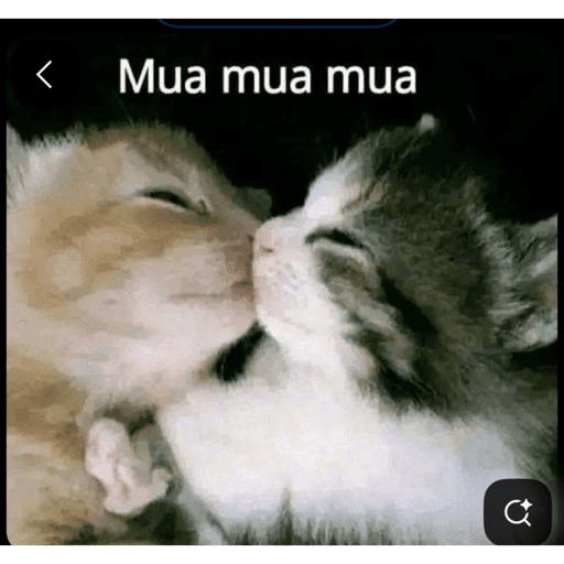 PRO MEU AMOOOOOOO 15