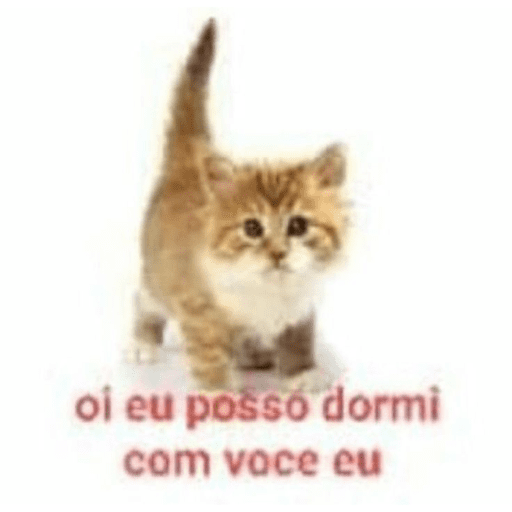 PRO MEU AMOOOOOOO 14