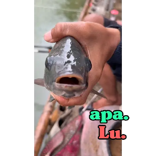 Nime Katakallana animasi  27