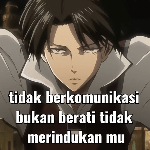 Anime q 8