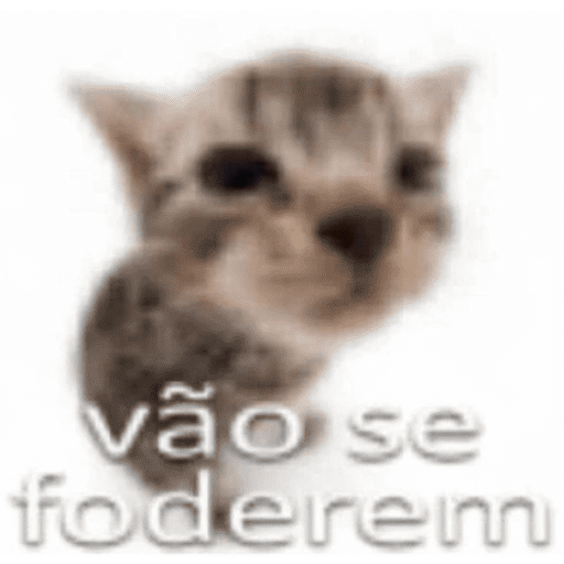 Aleatórios parte 6 28