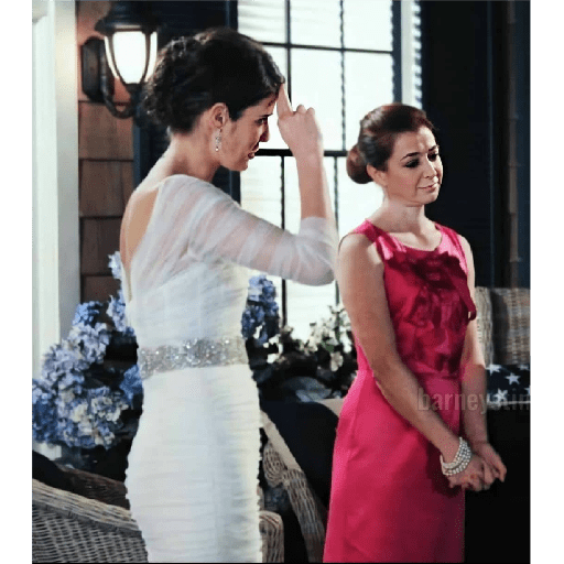 How i met your mother 19