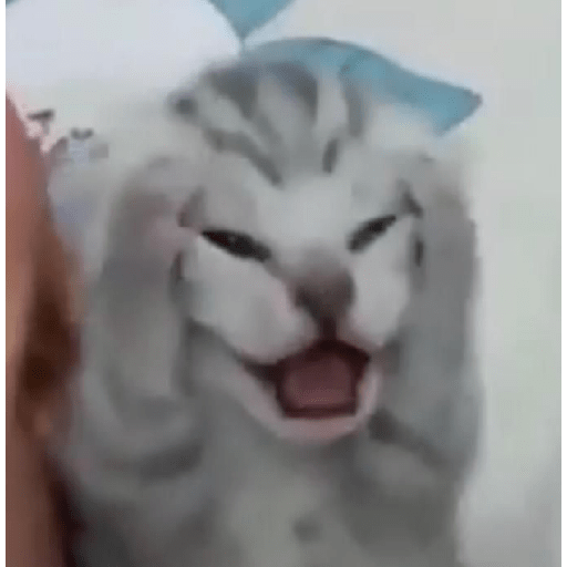 Azmiiii 13