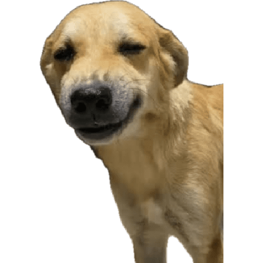 Hehe 3