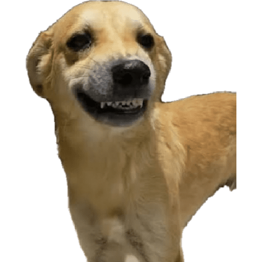 Hehe 2