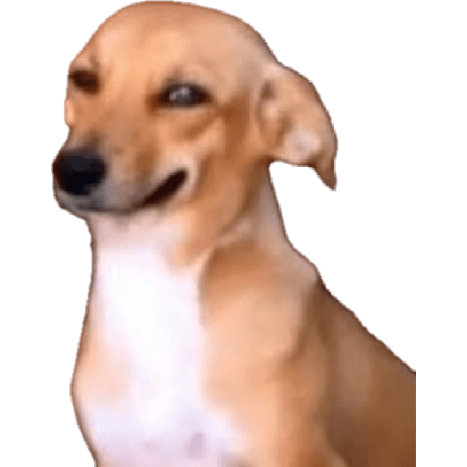 Hehe 4