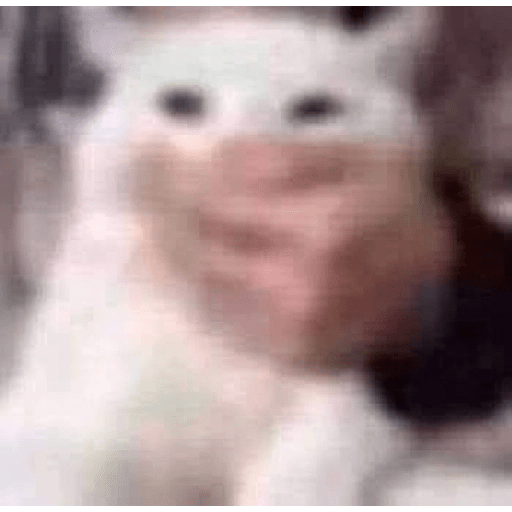 TUKY 9