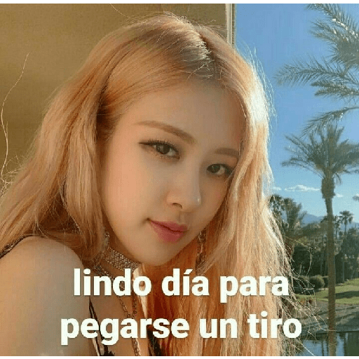 Kpop Stickers 7